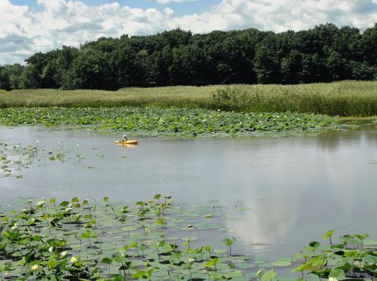 Old Woman Creek State Nature Preserve